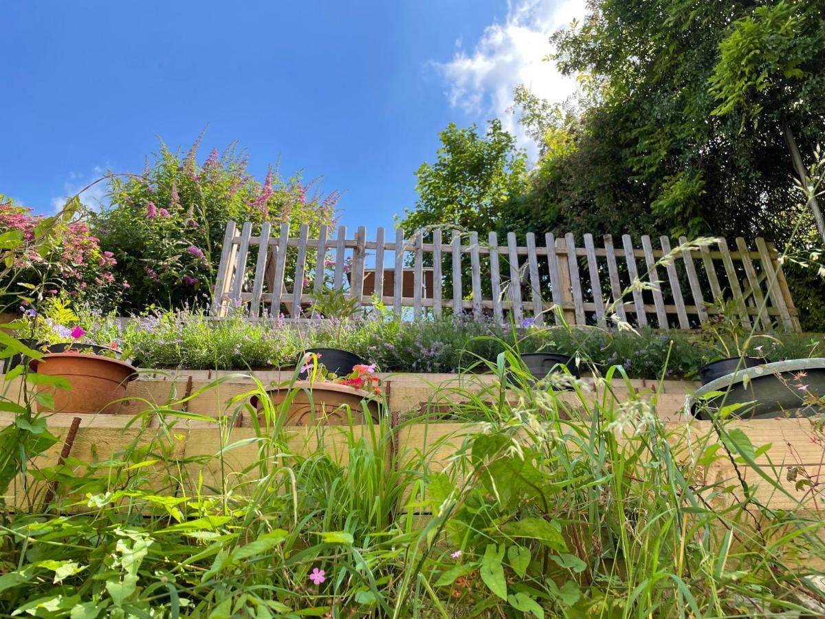 Tilly'S Cottage Westbury  Buitenkant foto
